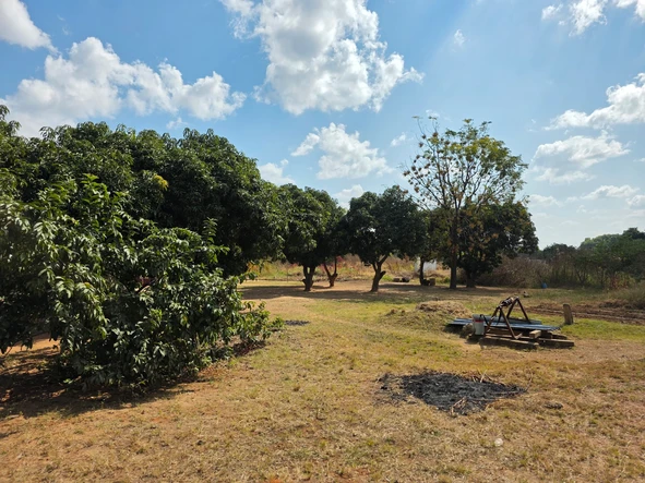 Stands & Residential Land