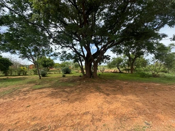 Land