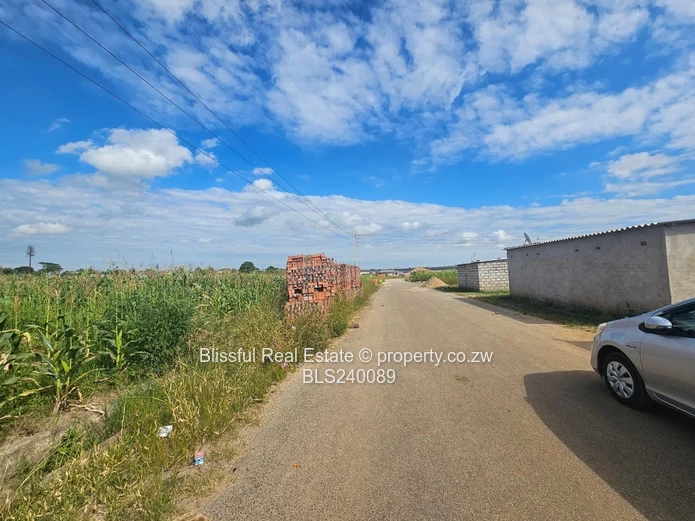 Stand for sale in Marimba