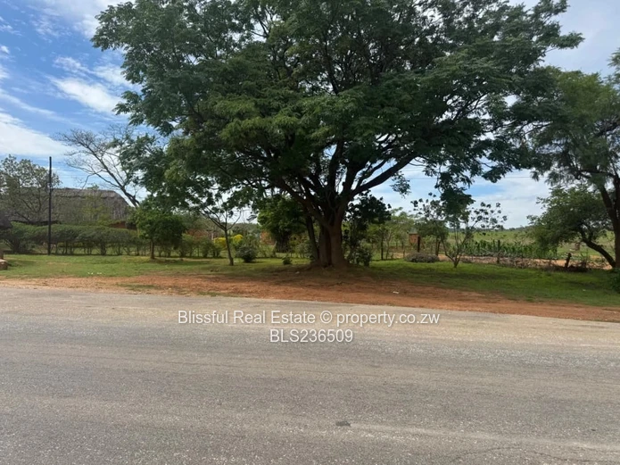 Petrol Station Vacant Stand for Sale-Chinhoyi
