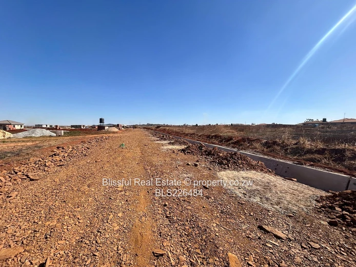 Glaudina stand for sale