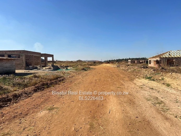 Glaudina stands for sale