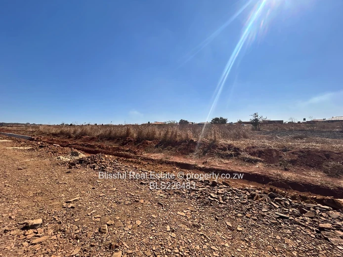 Glaudina stands for sale