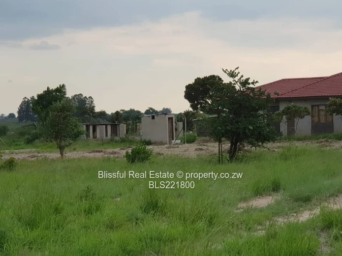 Ruwa Greenskye stand for sale