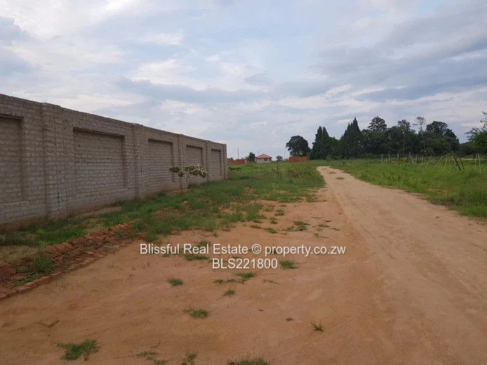 Ruwa Greenskye stand for sale