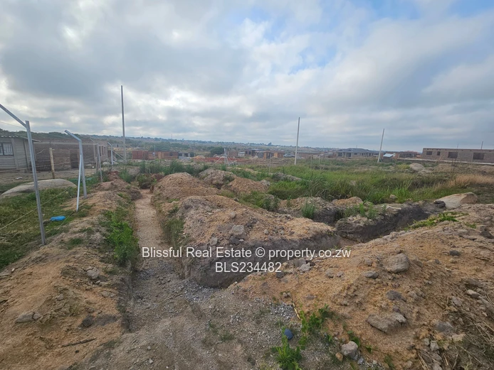 Donnybrook stand for sale