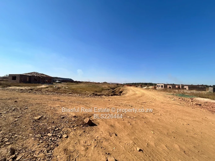 Glaudina stand for sale