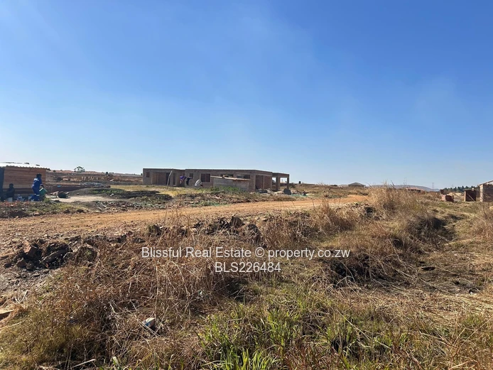 Glaudina stand for sale