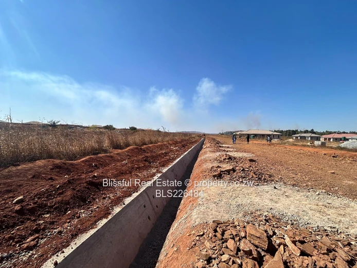 Glaudina stand for sale