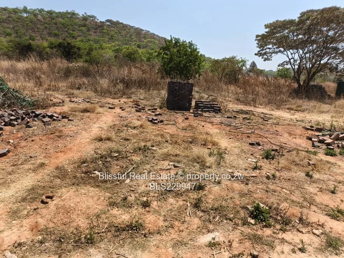 Carrick creigh stand for sale