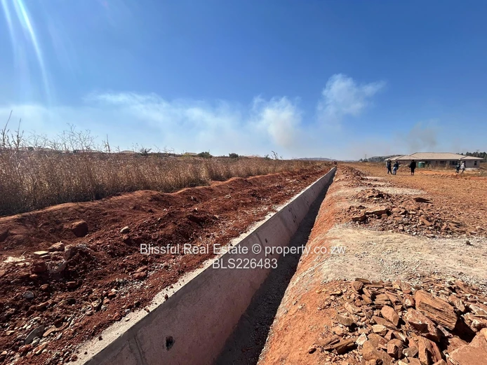 Glaudina stands for sale