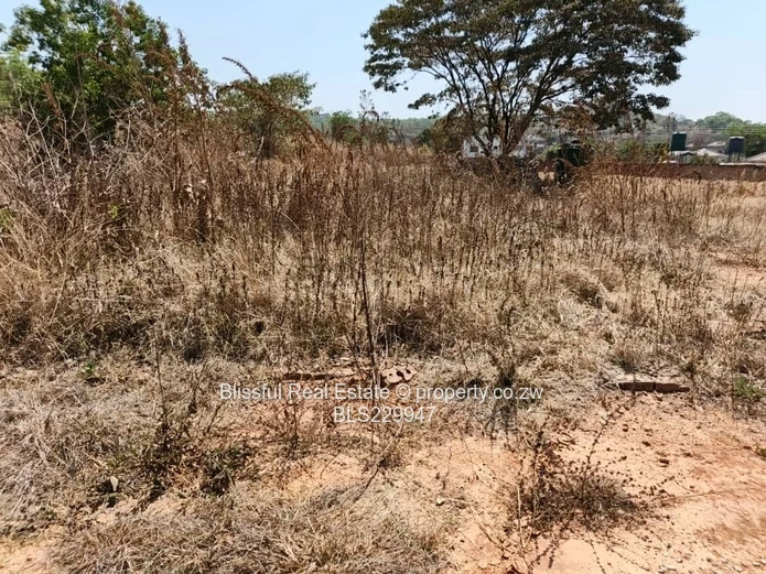 Carrick creigh stand for sale