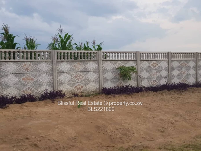 Ruwa Greenskye stand for sale