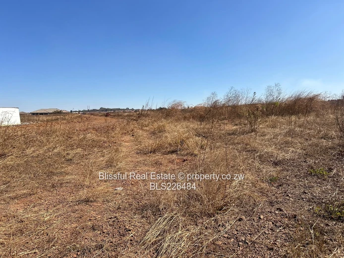 Glaudina stand for sale