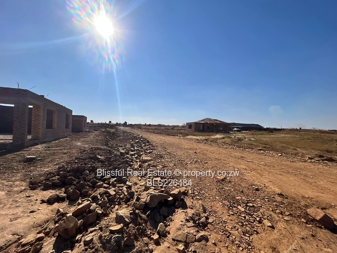 Glaudina stand for sale