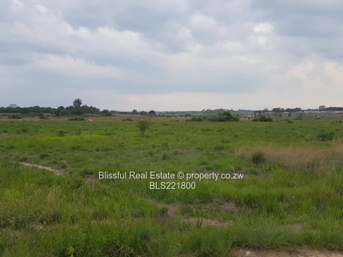 Ruwa Greenskye stand for sale