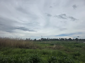 Commercial & Industrial Land