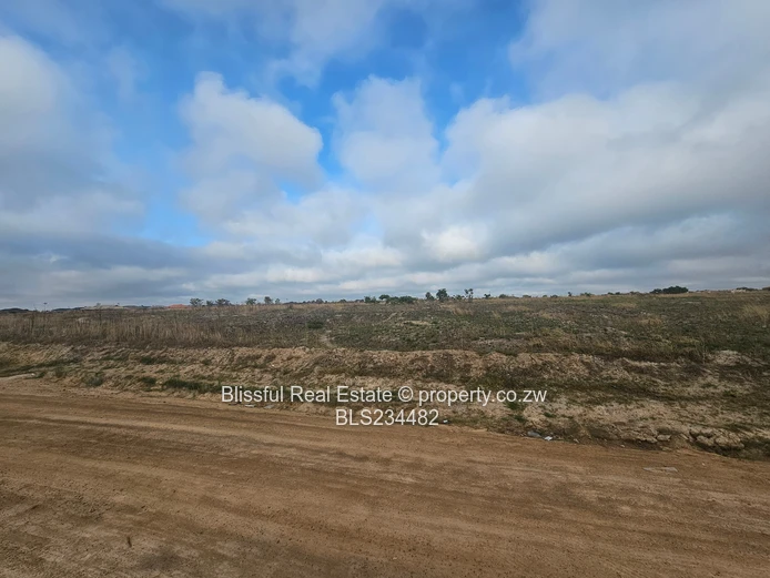 Donnybrook stand for sale