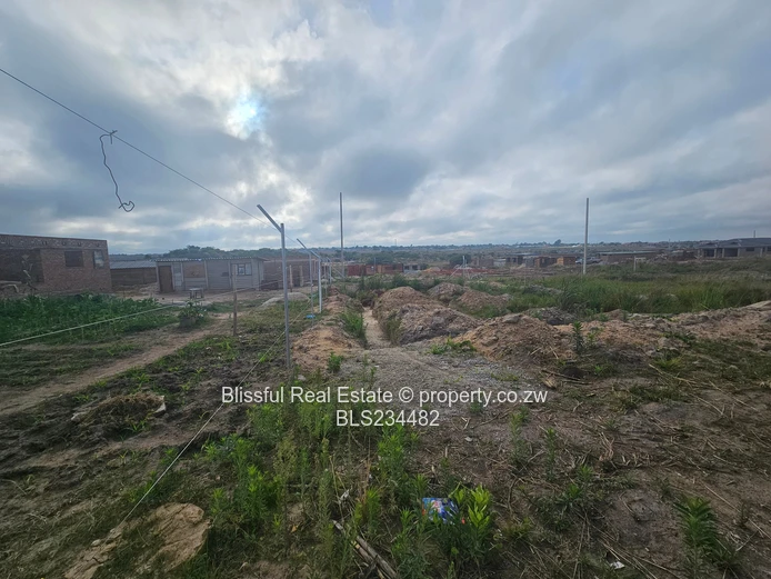 Donnybrook stand for sale