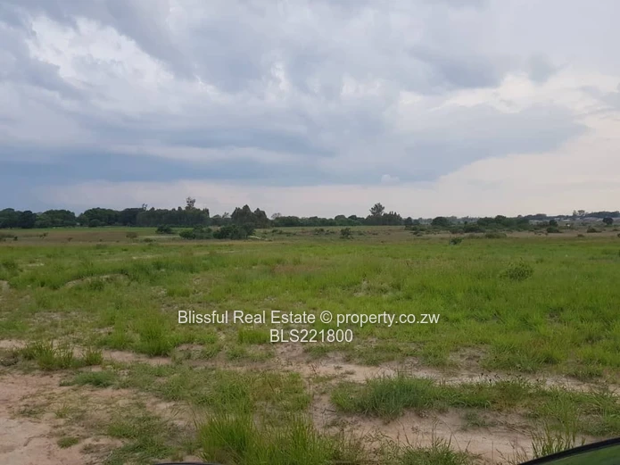 Ruwa Greenskye stand for sale