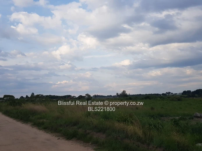 Ruwa Greenskye stand for sale