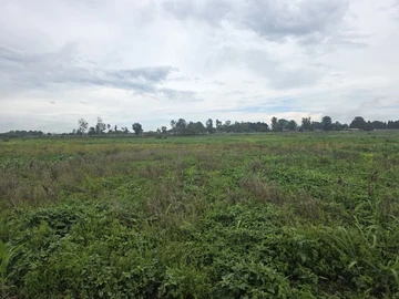 Commercial & Industrial Land
