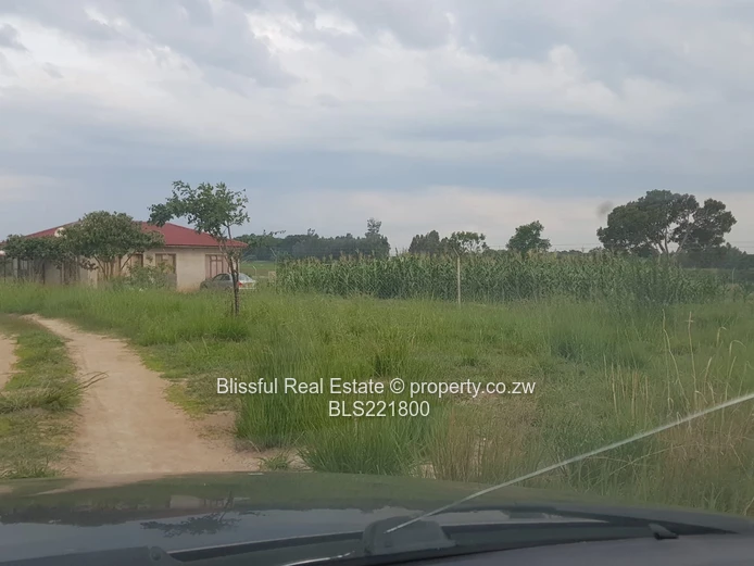 Ruwa Greenskye stand for sale