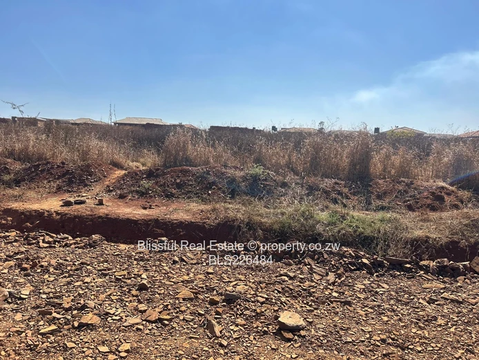 Glaudina stand for sale