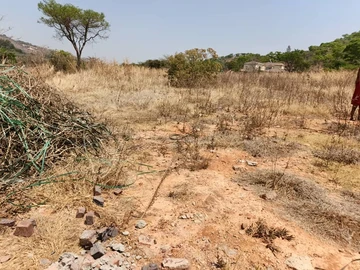 Stands & Residential Land