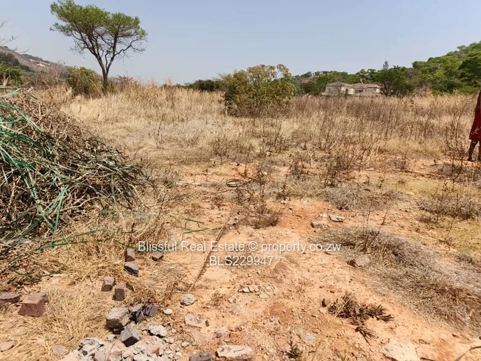 Carrick creigh stand for sale