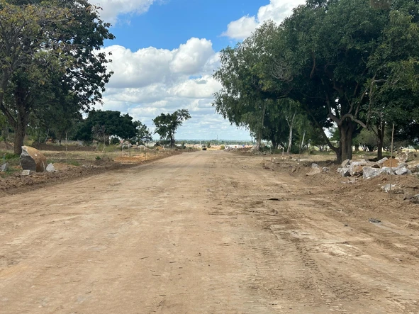 Stands & Residential Land