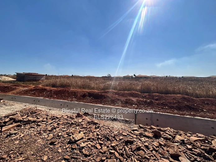 Glaudina stands for sale