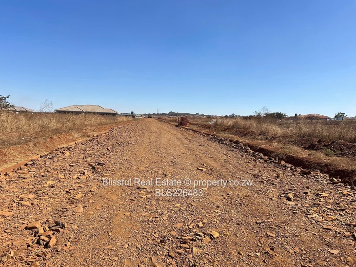 Glaudina stands for sale