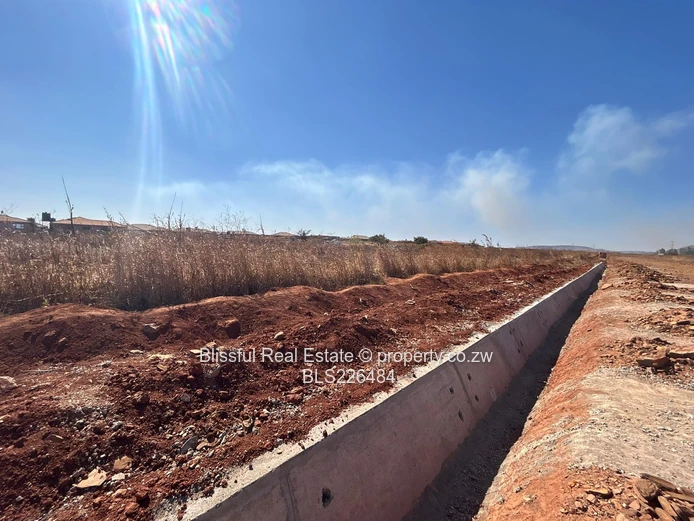 Glaudina stand for sale