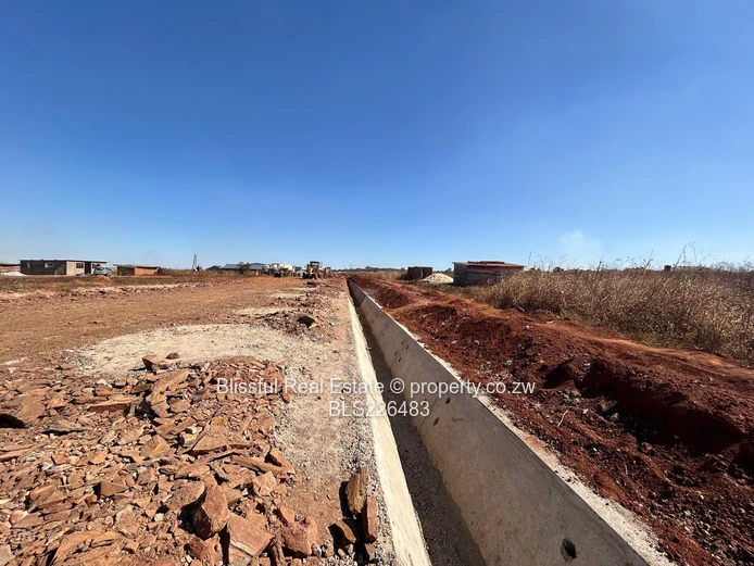 Glaudina stands for sale