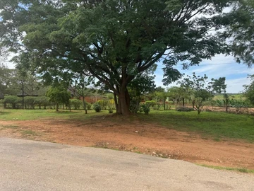 Land