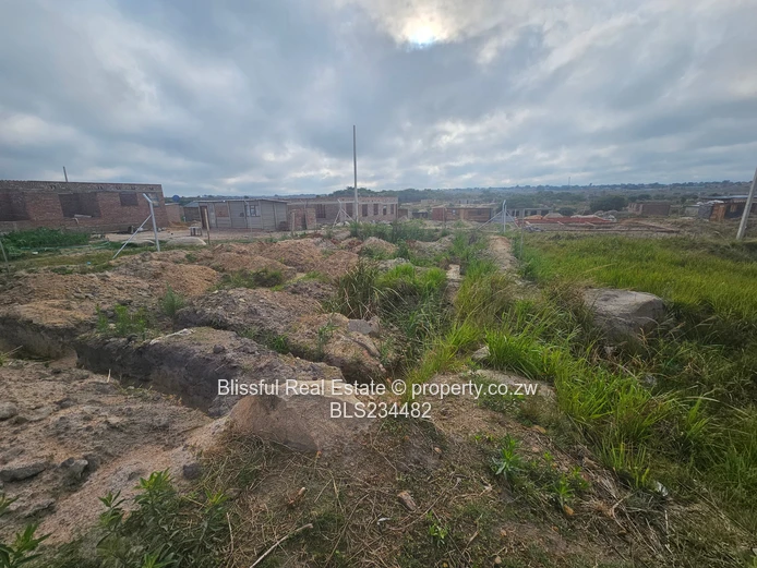 Donnybrook stand for sale