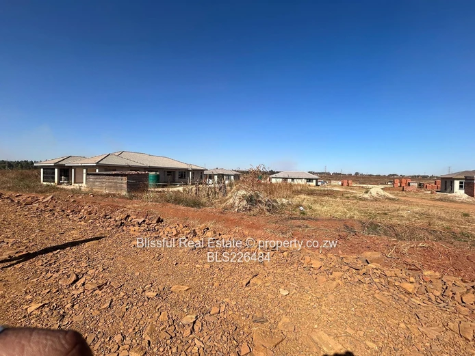 Glaudina stand for sale