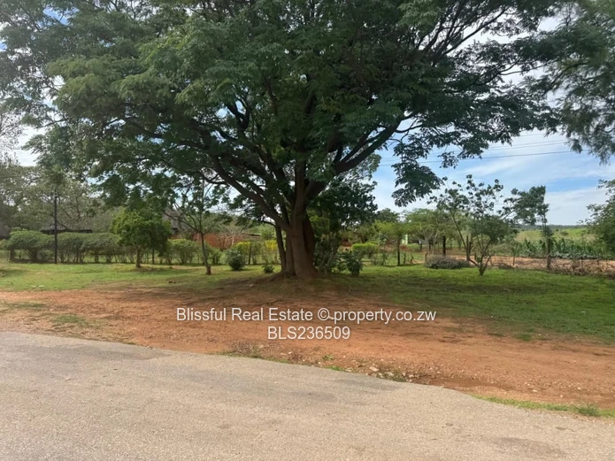 Petrol Station Vacant Stand for Sale-Chinhoyi