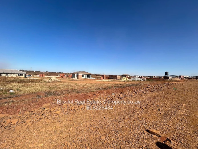 Glaudina stand for sale