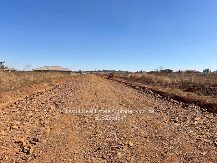 Glaudina stand for sale