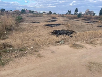 Stands & Residential Land