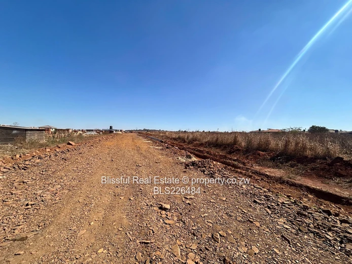 Glaudina stand for sale