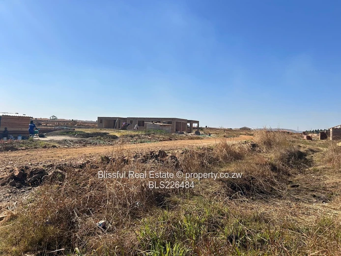 Glaudina stand for sale