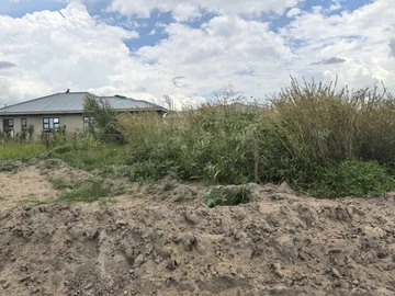 Stands & Residential Land