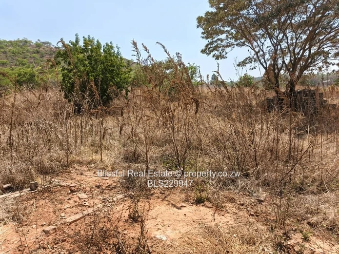 Carrick creigh stand for sale