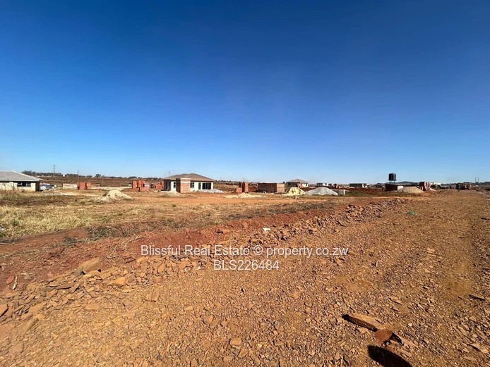 Glaudina stand for sale