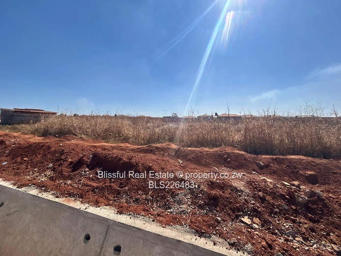 Glaudina stands for sale