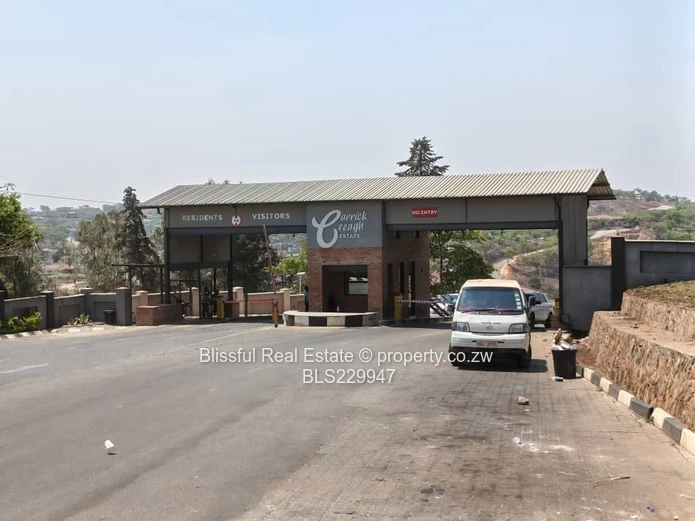 Carrick creigh stand for sale