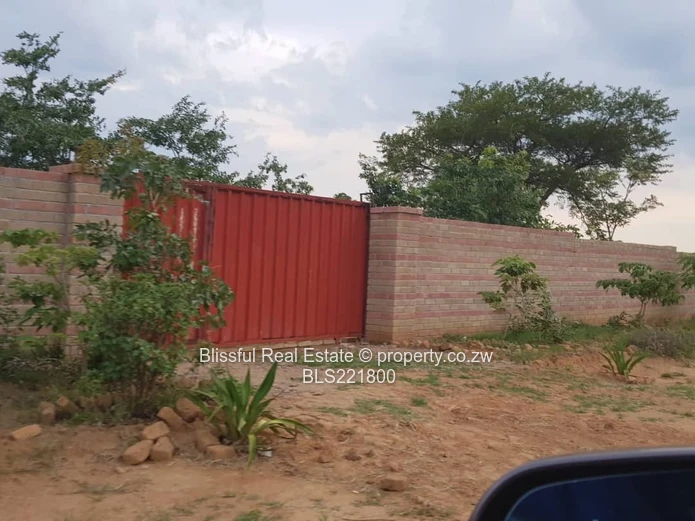 Ruwa Greenskye stand for sale